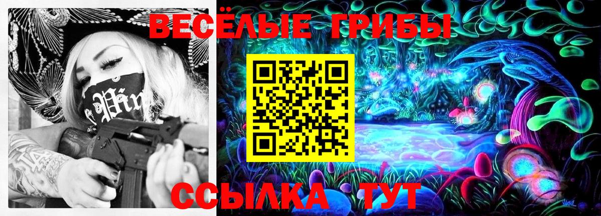 Галлюциногенные грибы Psilocybine cubensis Среднеуральск