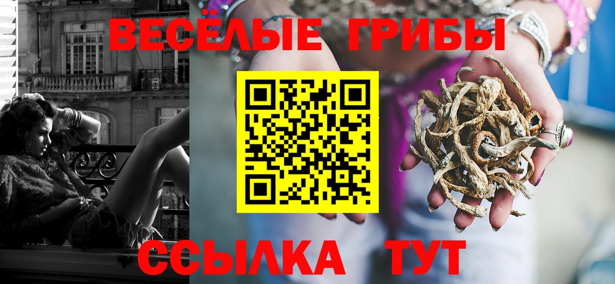 Галлюциногенные грибы MAGIC MUSHROOMS  купить закладку  Среднеуральск  Вход с VPN  Галлюциногенные грибы ЛСД 